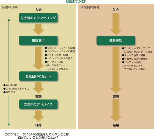 比較図